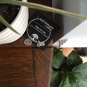 Alex and Ani Tree of Life bracelet